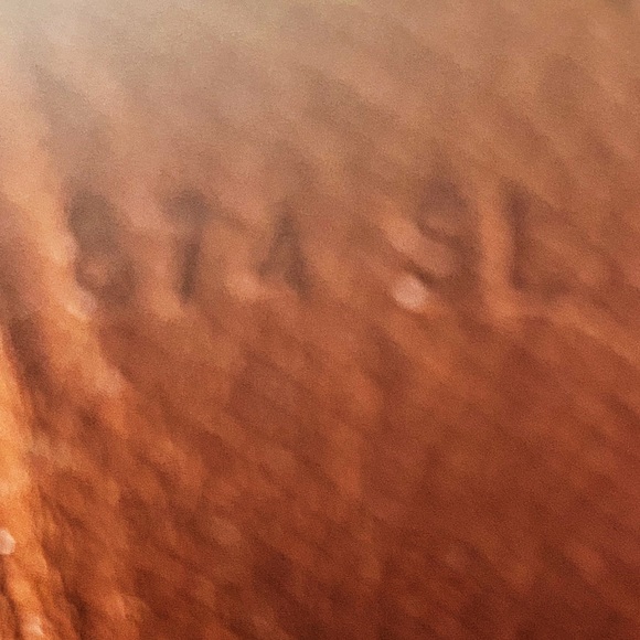 Louis Vuitton Mini Cart Crossbody PM MM HOST PICK - Picture 15 of 16